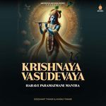 Krishnaya Vasudevaya Haraye Paramatmane Mantra