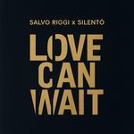 LOVE CAN WAIT