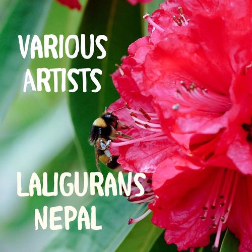 Laligurans Nepal