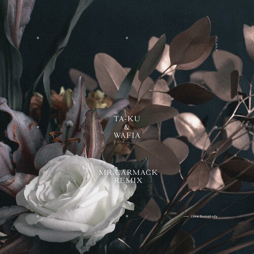 Love Somebody (Mr. Carmack Remix) cover art