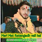 Meri Mat Ratangadh Vali Hai (Feat. Editor Anil Kushwah)