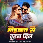 Mohabbat Se Tutal Dil