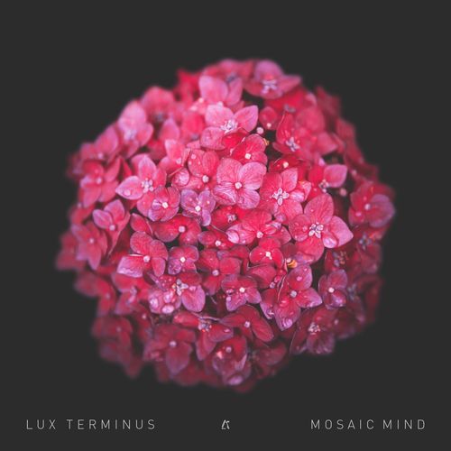 Mosaic Mind cover art