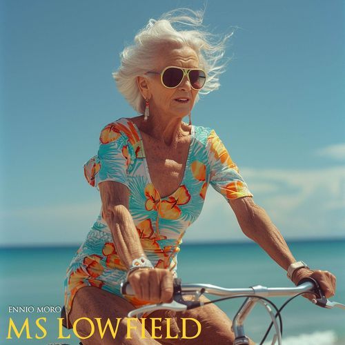 Mr Lowfield cover art