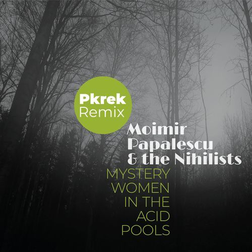 Mystery Women In The Acid Pools (Pkrek Remix) cover art