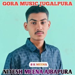 NITESH MEENA AJBAPURA-PjgIdC5vZ0I