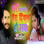 Pari Pandey Tera Deewana Ho Gaya