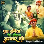 Pura Duniya Ke Bhola Sarkar Have