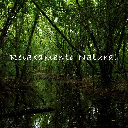Música Relaxante Com Sons da Natureza cover art