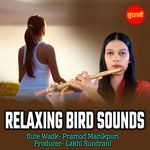 Relaxing Bird Sounds