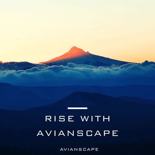Rise With Avianscape