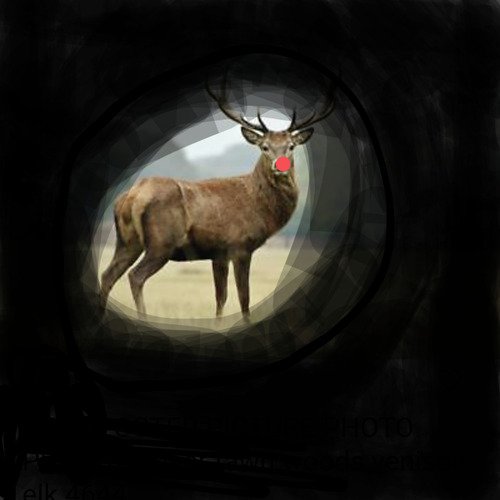Rudolph cover art