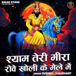 Shyam Teri Meera Rove Kholi Ke Mele Me-RytfWCVvc34