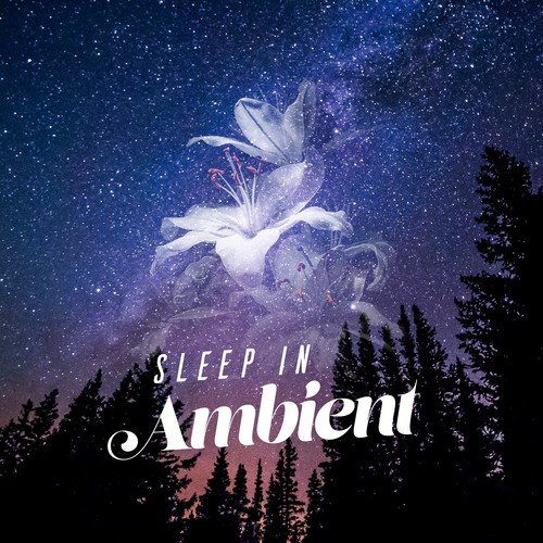 Sleep in Ambient