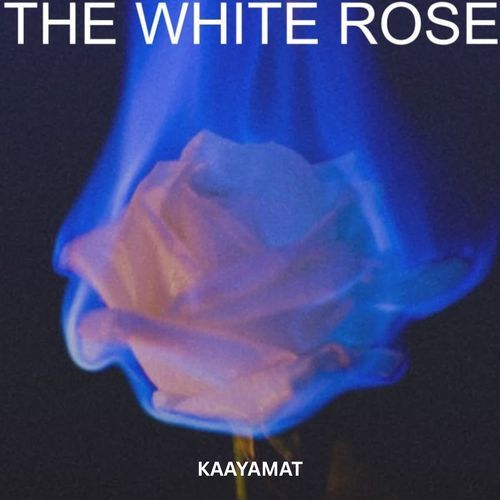 THE WHITE ROSE