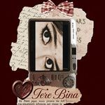 Tere Bina