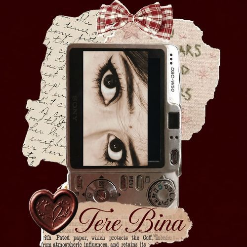 Tere Bina