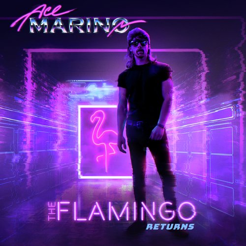 The Flamingo Returns_poster_image