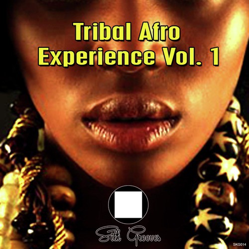 Tribal Afro Experience Vol 1
