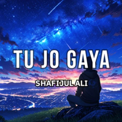 Tu Jo Gaya (Slowed & Reverb)