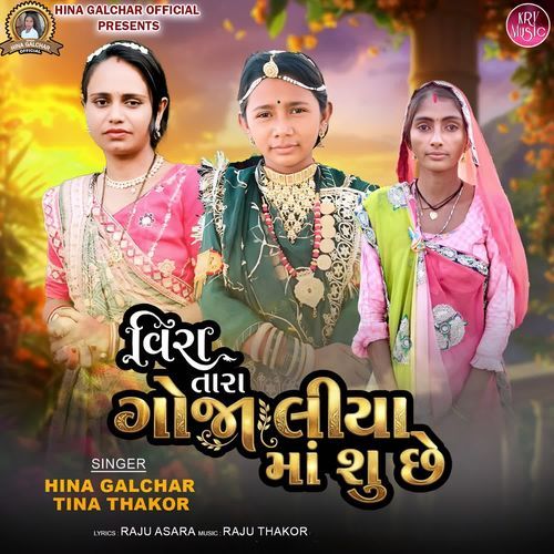 Vira Tara Goja Liya Maa Shu Chhe