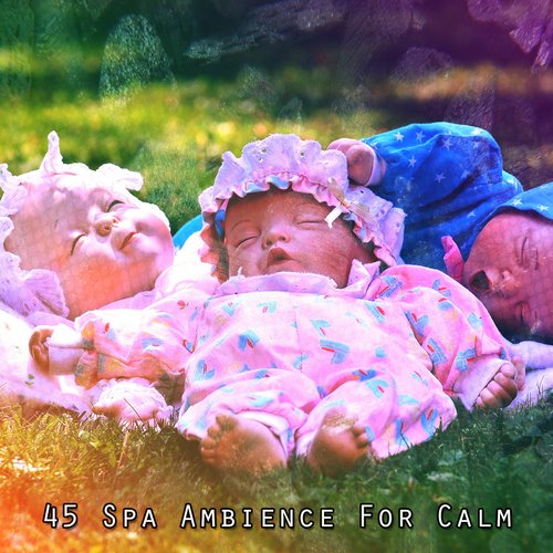 45 Spa Ambience For Calm_poster_image