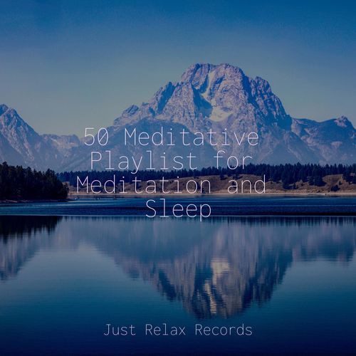 50 Meditative Playlist for Meditation and Sleep