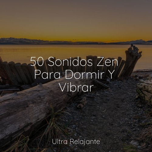 50 Sonidos Zen Para Dormir Y Vibrar