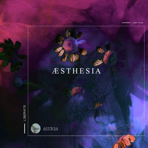 Aesthesia