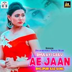 Bhulayi Gailu Ae Jaan-Bhojpuri Sad Song
