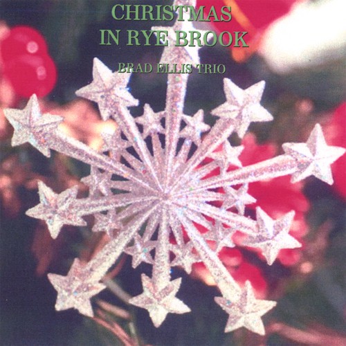 Christmas in Rye Brook