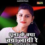 Dhoona ke kya kya layi re (Hindi)