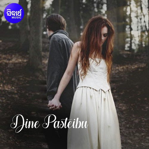 Dine Pasteibu_poster_image