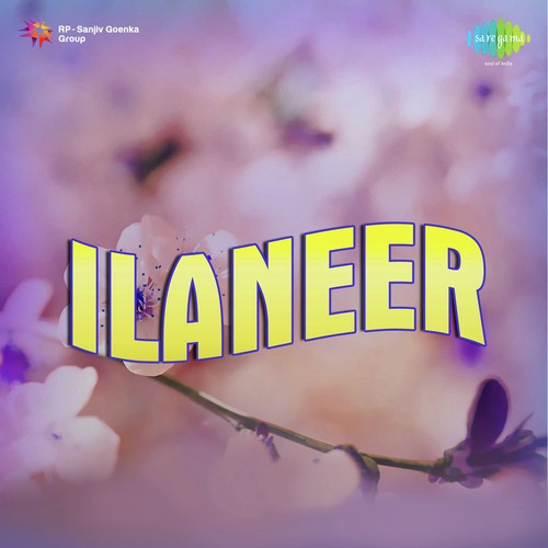 Ilaneer