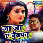 Ja Ja Ae Bewafa - Single