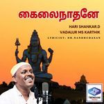 Kailai Nathane Om Namachivaya