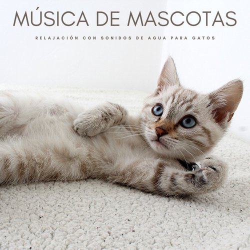 Música De Mascotas cover art