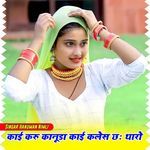 काई करू कानूडा काई क्लेश छः थारो