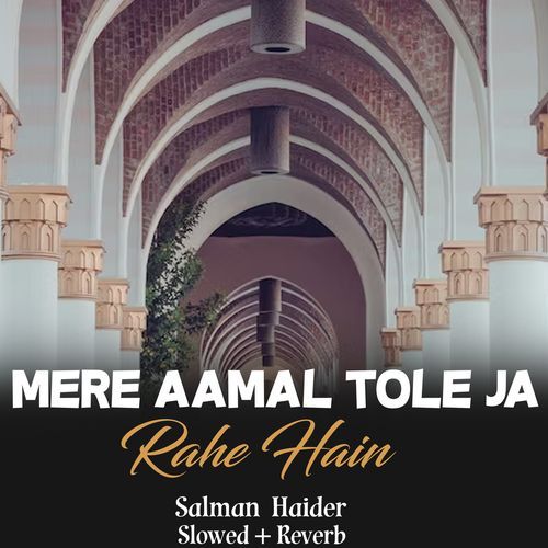Mere Aamal Tole Ja Rahe Hain Lofi