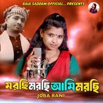 Morsi Morsi Ami Morsi