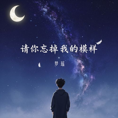 请你忘掉我的模样