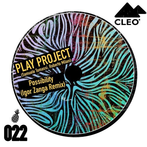 Possibility (Igor Zanga Remix) cover art