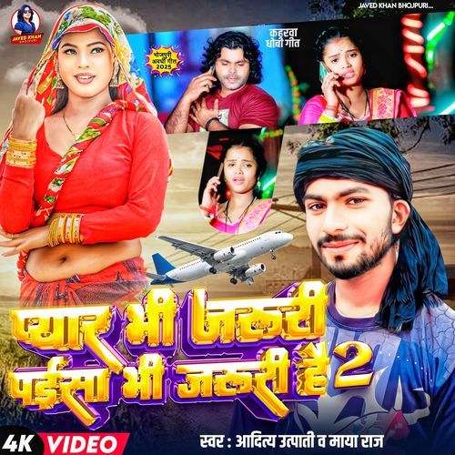 Pyar Bhi Jaruri Hai Paisa Bhi Jaruri 2