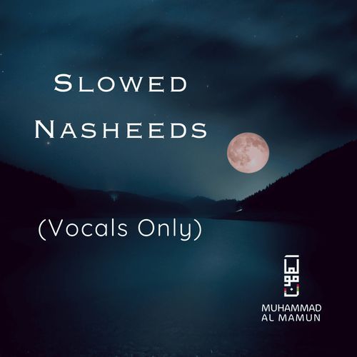 Muhammad Nabina (Slowed + Reverb) cover art
