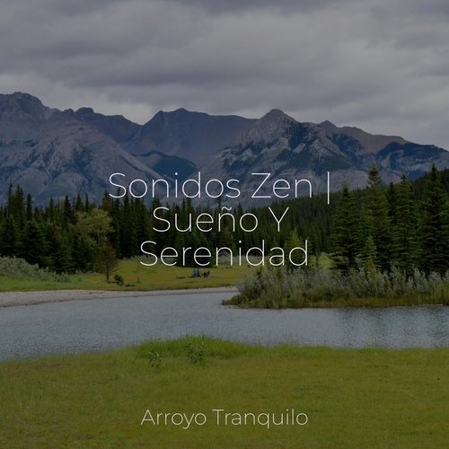 Sonidos Zen | Sueño Y Serenidad