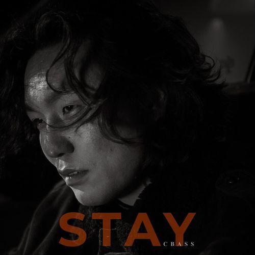 Stay_poster_image