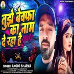 Tujhe Bewfa Ka Naam De Raha Hu