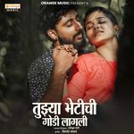 Tujhya Bhetichi Godi Lagli
