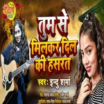 Tum Se Milkar Dil Ki Hasrat
