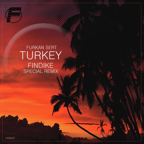 Turkey (Findike Remix)_poster_image